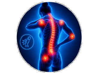 Fisioterapia para Coluna